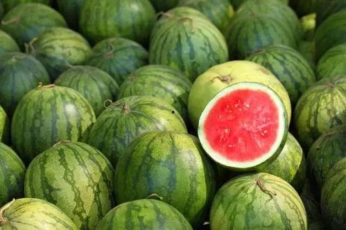 世界各地吃瓜爆料视频,短视频时代的全民娱乐盛宴
